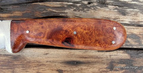 heavy-duty belt knife with amboyna burl scales